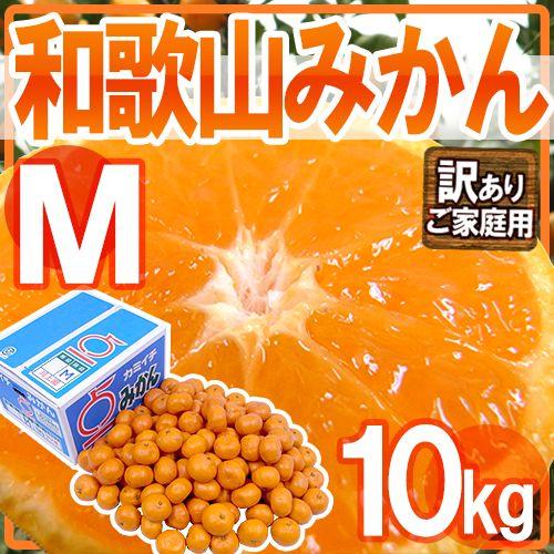 みかん みかん ”和歌山みかん” 訳あり Mサイズ 約10kg【予約 11月末以降