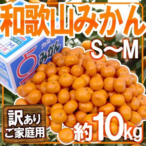 みかん ”和歌山みかん” 訳あり S〜Mサイズ 約10kg【予約 11月末以降
