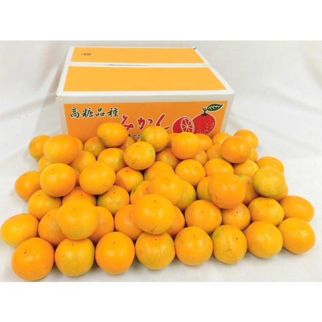 みかん 和歌山産 ”ゆら早生みかん” 秀品 S/Mサイズ 約5kg【予約 10月