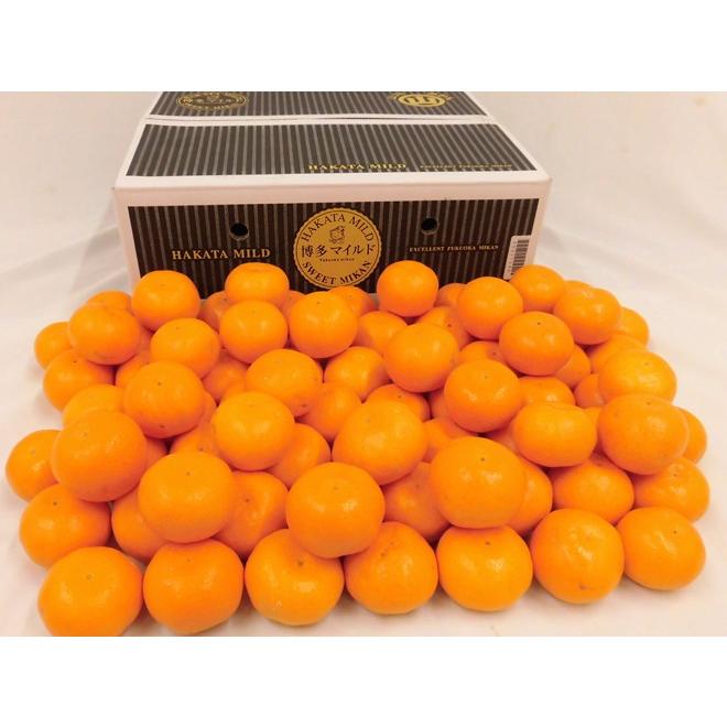 ☆ みかん☆ 海瀬みかん園 l 【公式】 うまちょく便 | 静岡・山梨名物・特産