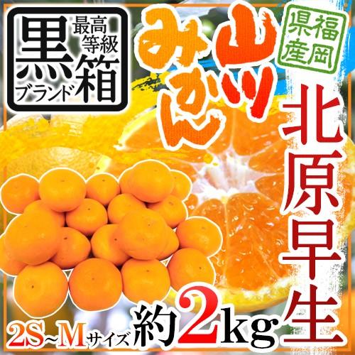 みかん ”福岡 JAみなみ筑後 山川みかん 北原早生” 黒箱等級 2S/S/M