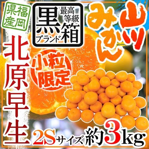 みかん ”福岡 JAみなみ筑後 山川みかん 北原早生” 黒箱等級 小粒限定2S