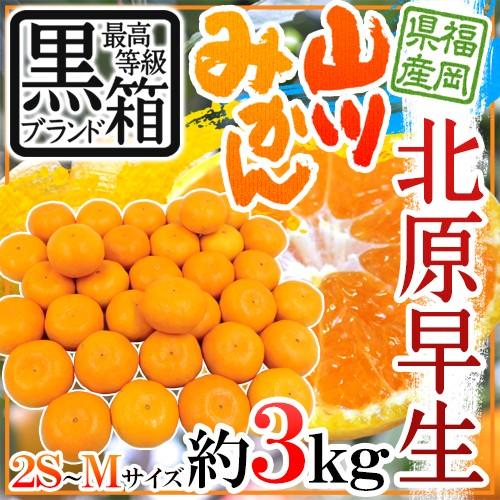 みかん ”福岡 JAみなみ筑後 山川みかん 北原早生” 黒箱等級 2S/S/M