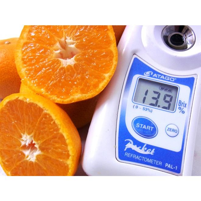 みかん みかん 山川みかん ”福岡産 マイルド130” 秀品 小粒2Sサイズ 約