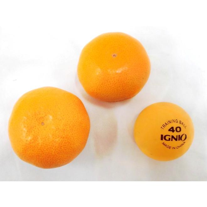 みかん 福岡産 山川みかん ”マイルド130” 秀品 小粒2Sサイズ 約2kg ...