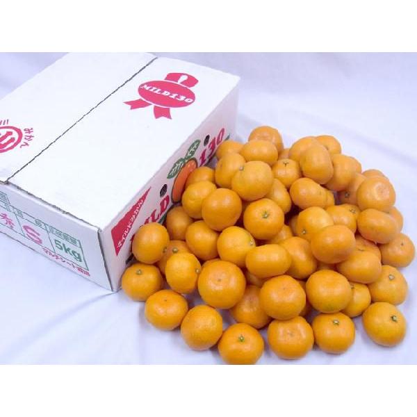 みかん 山川みかん ”福岡産 マイルド130” 秀品 S/Mサイズ 約4kg【予約