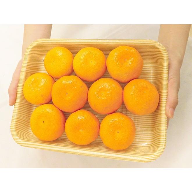 みかん ”佐賀産 JAからつ ハウスみかん” S/Mサイズ 10〜12玉前後 約1kg
