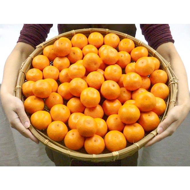 みかん 長崎 西海 ”味まるみかん” 秀品 Sサイズ 約5kg 産地化粧箱 最低