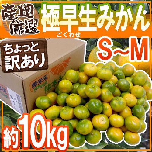 みかん ”極早生みかん” ちょっと訳あり S〜Mサイズ 約10kg【予約 10月