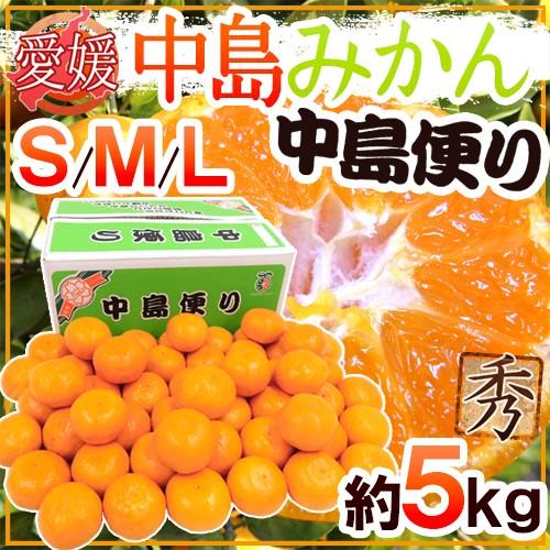 みかん 愛媛産 ”中島みかん 中島便り” 秀品 S/M/Lサイズ 約5kg 産地