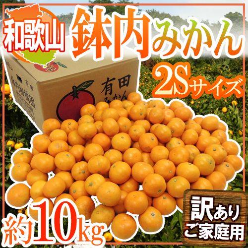 すみれ　幻の河内みかん20kg 幻の女王！征代さんの“桜みかん はるみ”L~2Lサイズ 3kg_宮崎県