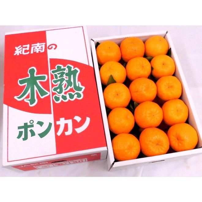 和歌山産 JA紀南 ”木熟ポンカン” 秀品 L/2L/3L 24〜36玉 約5kg ぽん