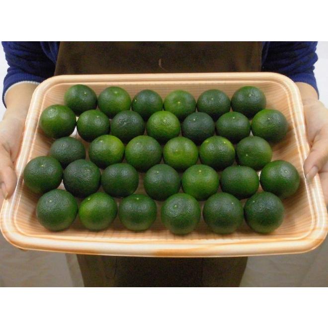 徳島産 ”すだち” 秀品 約1kg 化粧箱 大きさおまかせ 送料無料 徳島産 ”すだち” 秀品 約1kg 化粧箱 大きさおまかせ 送料無料