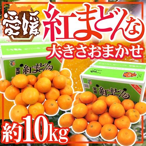 愛媛産 紅まどんな” 約10kg 大きさおまかせ ご家庭用【予約 12月以降
