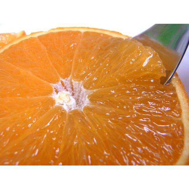 愛媛産 紅まどんな” 約10kg 大きさおまかせ ご家庭用【予約 12月以降
