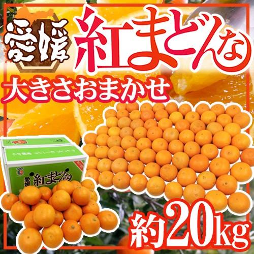 愛媛産 紅まどんな” 約20kg 大きさおまかせ ご家庭用【予約 12月以降