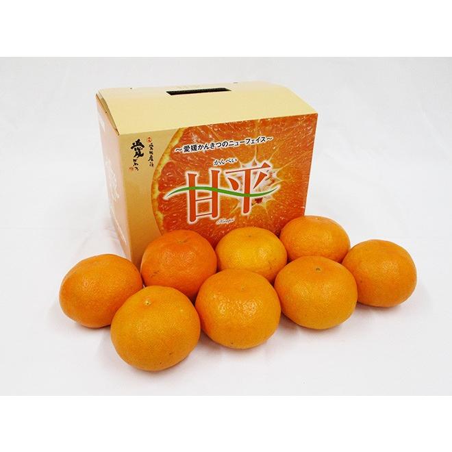 愛媛産 ”甘平” 秀品 7〜10玉前後 約1.5kg 化粧箱【予約 1月中旬以降