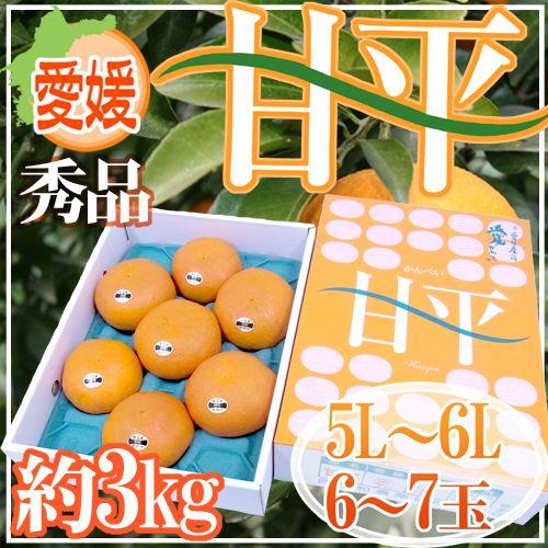 甘平(5kg)・秀品 愛媛産 ”甘平” 秀品 5L〜6L 特大玉6〜7玉 約3kg 化粧箱【予約 1月中旬