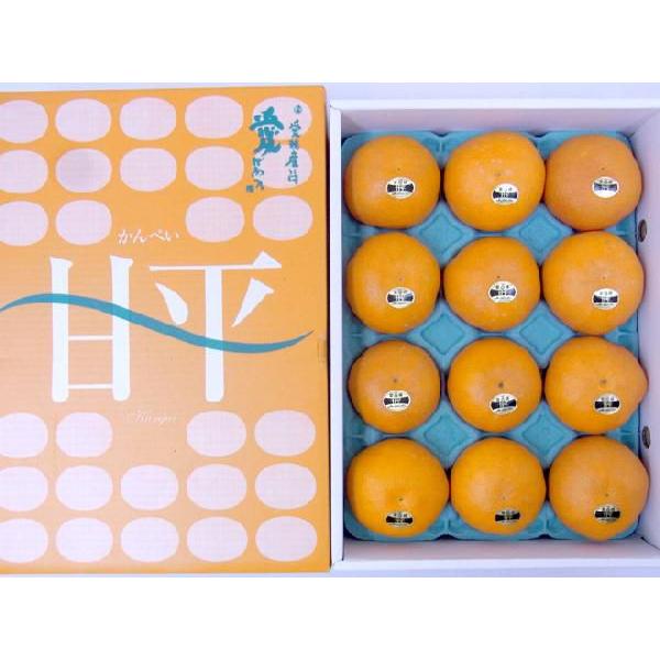 愛媛産 ”甘平” 秀品 L〜2L 12〜15玉 約3kg 化粧箱【予約 1月中旬以降