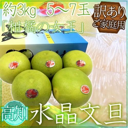 土佐高知 ”水晶文旦” 訳あり 大玉 5〜7玉 約3kg【予約 10月以降