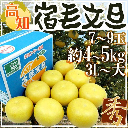 地元果物屋おすすめ高知宿毛産土佐文旦4Lサイズ20キロ家庭用大【メルカリ便送込 地元果物屋おすすめ高知宿毛産土佐文旦4Lサイズ20キロ家庭用大