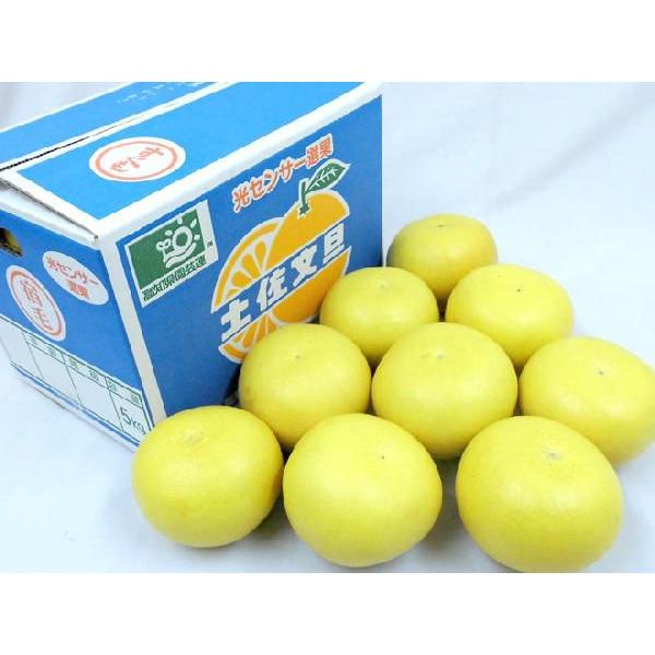 高知産 土佐文旦 ”宿毛文旦” 秀品 3L〜大サイズ 約4〜5kg 産地箱【予約