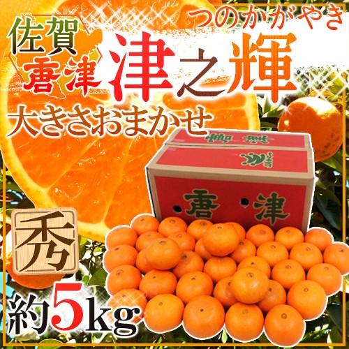 佐賀県 JAからつ ”津之輝” 秀品 約5kg 大きさおまかせ【予約 1月中旬