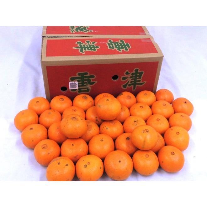 佐賀県 JAからつ ”津之輝” 秀品 約5kg 大きさおまかせ【予約 1月中旬