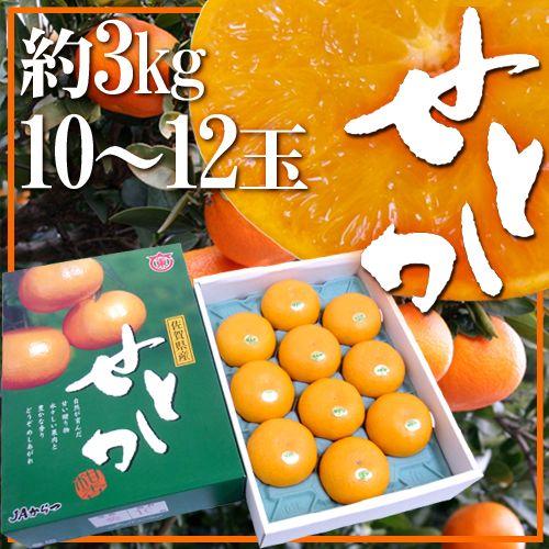 佐賀産 ”せとか” 大玉10〜12玉 約3kg 化粧箱入り【予約 1月中旬以降