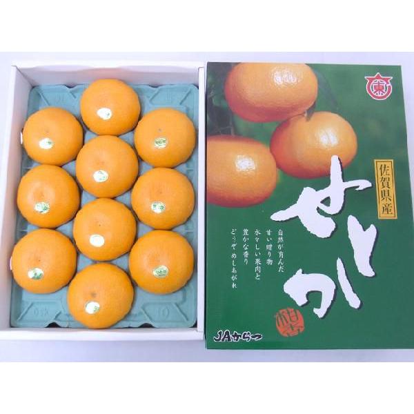佐賀産 ”せとか” 大玉10〜12玉 約3kg 化粧箱入り【予約 1月中旬以降