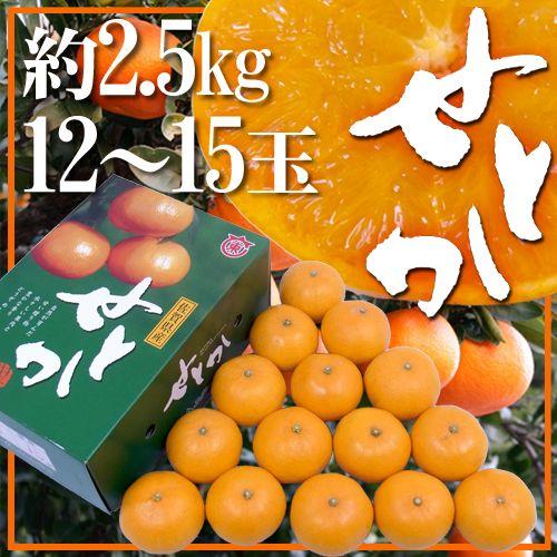 佐賀産 ”せとか” 12〜15玉 約2.5kg 化粧箱入り【予約 1月中旬以降