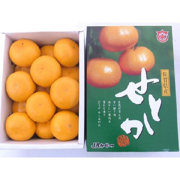 佐賀産 ”せとか” 12〜15玉 約2.5kg 化粧箱入り【予約 1月中旬以降