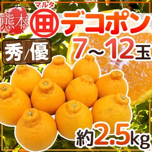 熊本産 マルタ（○田）デコポン” 秀・優品 7〜12玉 約2.5kg JAあしきた