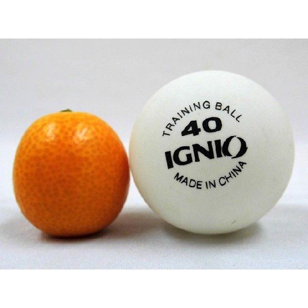 宮崎・鹿児島県 ”きんかん” 秀品 M/L 約2kg 金柑【予約 11月下旬以降