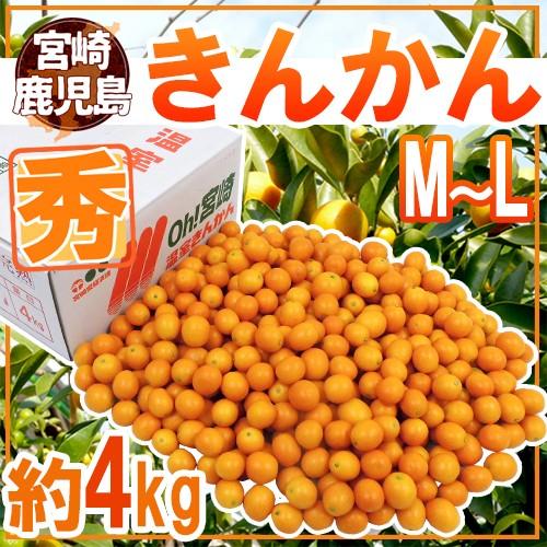 宮崎・鹿児島県 ”きんかん” 秀品 M〜L 約4kg 金柑【予約 11月下旬以降