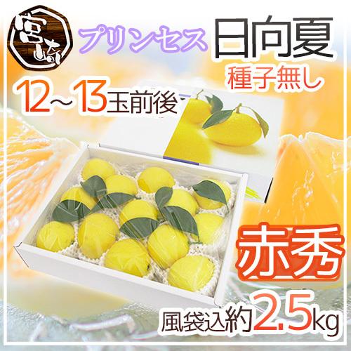 宮崎県産　種無し日向夏　20キロ 家庭用　超大特価‼️送料込み‼️ 送料無料》 宮崎県産 【日向夏自家用3kg】 15-20玉前後 直径6-7cm 露地