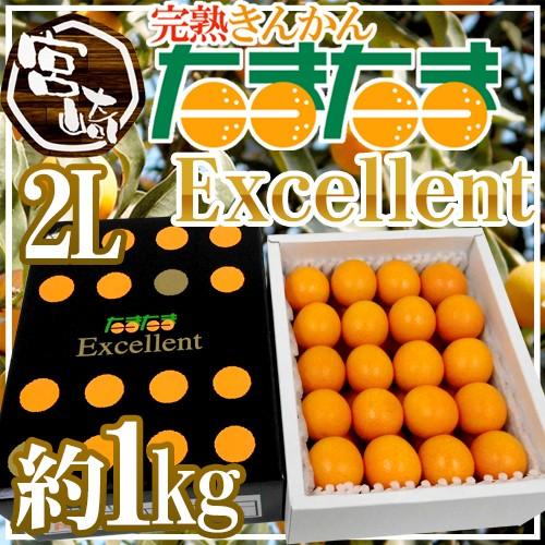 宮崎県 ”完熟きんかん たまたまエクセレント EX” 2Lサイズ 約1kg【予約