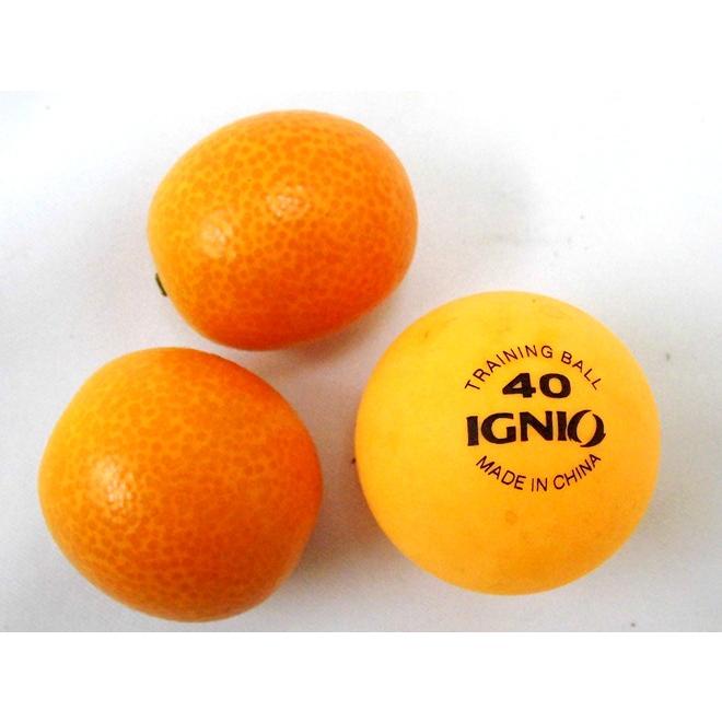 鹿児島県入来産 ”完熟きんかん いりき” 秀品 L〜3Lサイズ 約250g 鹿児島県入来産 ”完熟きんかん いりき” 秀品 L〜3Lサイズ 約250g