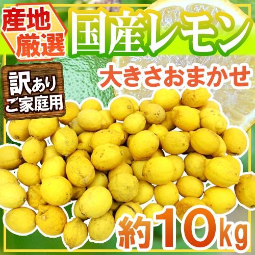 国産 レモン 10kg 二箱 完熟国産レモン” 訳あり 約10kg 大きさおまかせ 産地厳選【予約