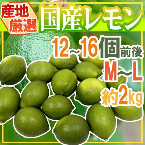 国産レモン” 約2kg 12〜18玉前後 M〜L 産地厳選【予約 入荷次第発送