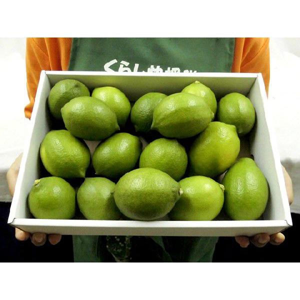 国産レモン” 約2kg 12〜18玉前後 M〜L 産地厳選【予約 入荷次第発送