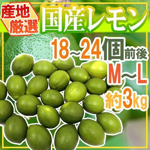 国産レモン” 約3kg 18〜24玉前後 M〜L 産地厳選【予約 入荷次第発送