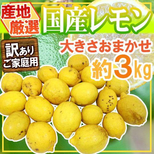 ”完熟国産レモン” 訳あり 約3kg 大きさおまかせ 産地厳選【予約 入荷次第発送】 送料無料｜kurashi-kaientai