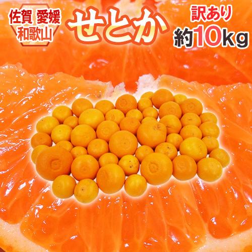 佐賀・愛媛・和歌山産 ”せとか” 訳あり 約10kg 大きさおまかせ【予約 1