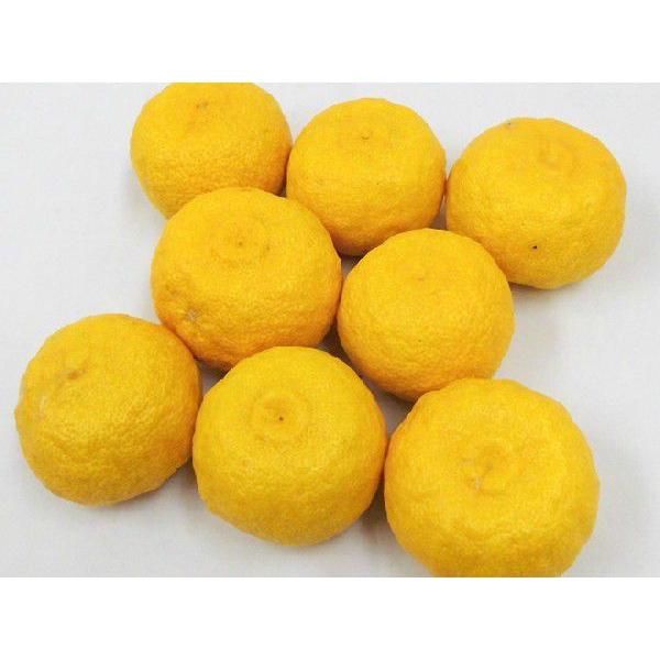 ゆず” 秀品 6〜13玉 約1kg 産地厳選【予約 11月下旬以降】 : くらし快