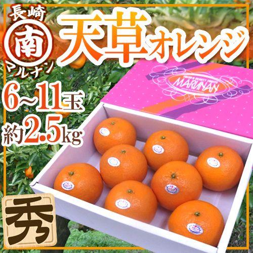 長崎 マルナン ”天草オレンジ” 秀品 6〜11玉 約2.5kg 化粧箱【予約 11