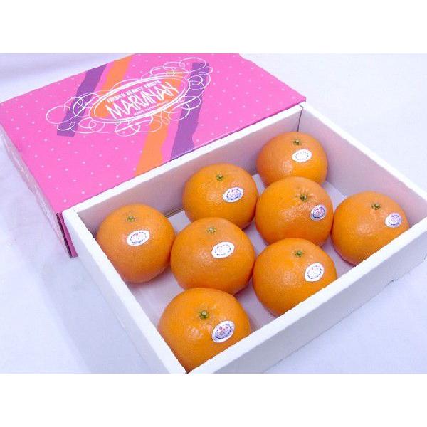 長崎 マルナン ”天草オレンジ” 秀品 6〜11玉 約2.5kg 化粧箱【予約 11