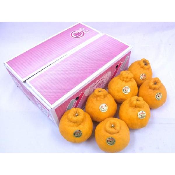 長崎産 ”マルナンデコポン” 秀品 6〜10玉 約3kg【予約 12月以降】 送料