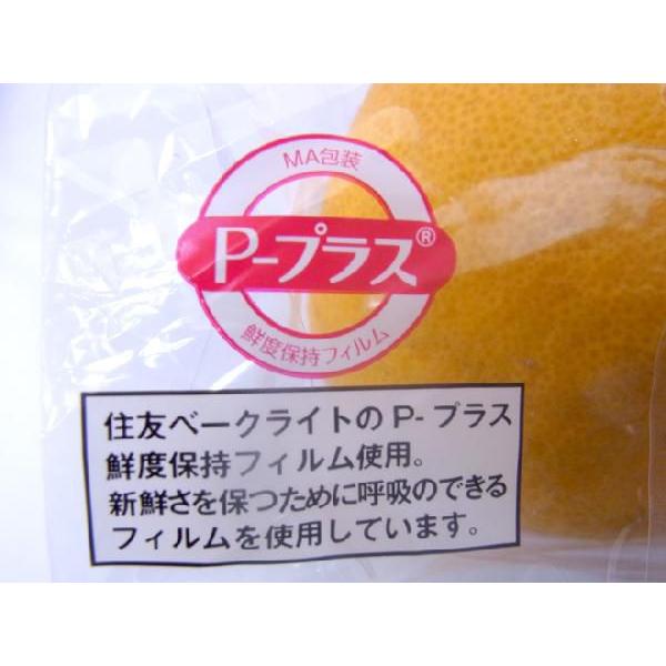 長崎 マルナン ”匠の味 葉付きデコポン” 秀品 7〜10玉前後 約3kg【予約