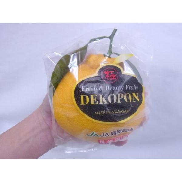 長崎 マルナン ”匠の味 葉付きデコポン” 秀品 7〜10玉前後 約3kg【予約